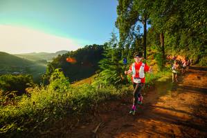 BIB: 
                            <button type="button" onclick="openModal(19168993)" class="btn btn-primary btn-sm float-right btn-popup" data-toggle="modal" data-target=".modal-high-quality">
                        <i class="fas fa-shopping-cart"></i> Add to Cart
                    </button>
                                            <button type="button" onclick="isThisMe(19168993, true)" class="btn btn-success btn-sm float-right btn-popup btn-isme hidden" data-toggle="tooltip" data-placement="bottom" title="นี่คือรูปของคุณใช่ไหม คลิกที่นี่เพื่อเอาเข้าอัลบั้ม">
                        <i class="fas fa-plus"></i> Add to album
                    </button>
                    <button type="button" onclick="isThisMe(19168993, false)" class="btn btn-warning btn-sm float-right btn-popup btn-isnotme hidden">
                        <i class="fas fa-ban"></i> Remove from album
                    </button>